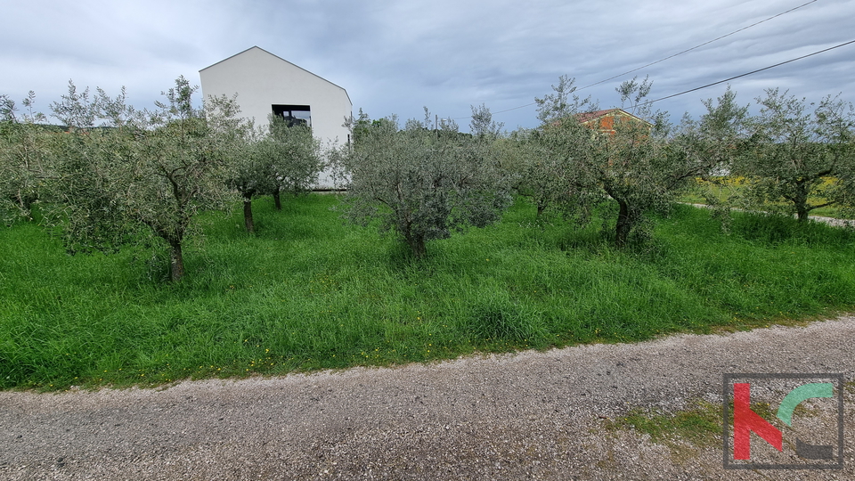 Pula, Veli Vrh, building plot 1158m2, possibility of subdivision, #sale