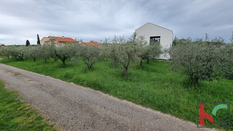 Pula, Veli Vrh, building plot 1158m2, possibility of subdivision, #sale