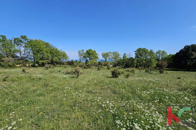 Istra, Peruški, poljoprivredno zemljište 1002m2 #prodaja