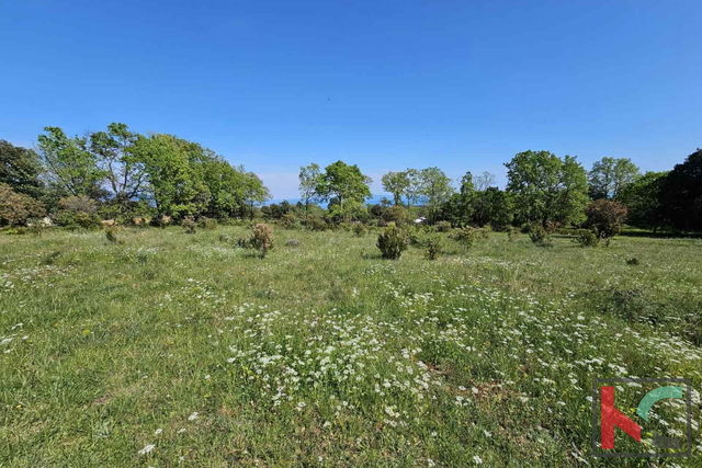 Istra, Peruški, poljoprivredno zemljište 1043m2 #prodaja