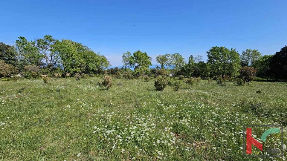 Istra, Peruški, poljoprivredno zemljište 1043m2 #prodaja