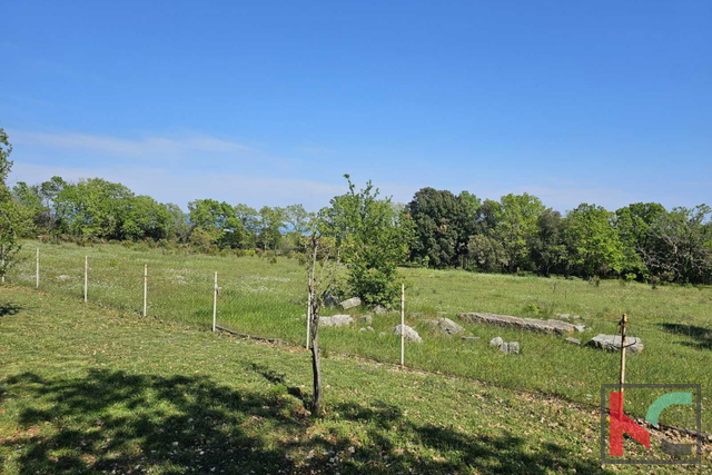 Istra, Peruški, poljoprivredno zemljište 1043m2 #prodaja