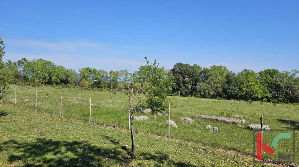 Istra, Peruški, poljoprivredno zemljište 1043m2 #prodaja