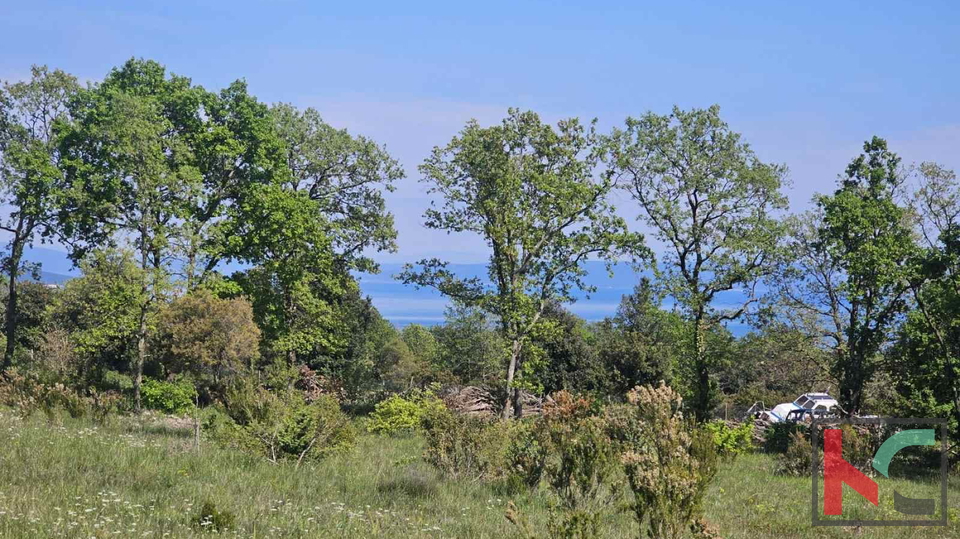 Istra, Peruški, poljoprivredno zemljište 1071m2 #prodaja