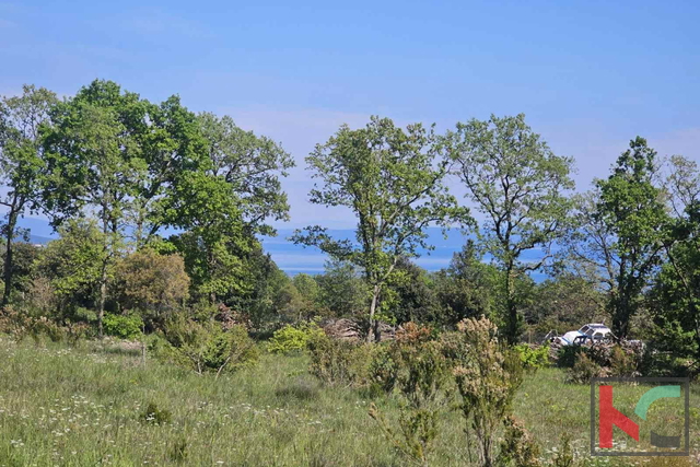 Istra, Peruški, poljoprivredno zemljište 3774m2 sa legaliziranim objektom i pogledom na more  #prodaja