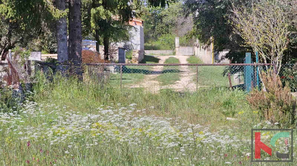 Istra, Peruški, poljoprivredno zemljište 3774m2 sa legaliziranim objektom i pogledom na more  #prodaja