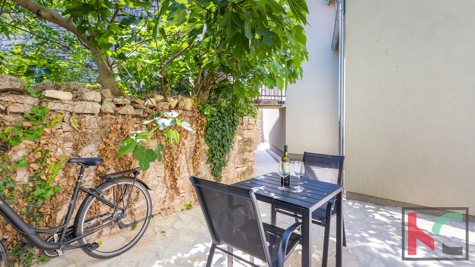 Istra, Ližnjan, Šišan, renovirana kamnita hiša, #prodaja