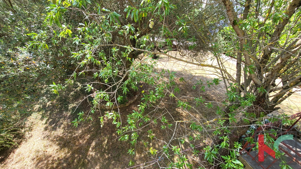 Istria, Vinkuran, casa a un piano con ampio giardino con potenziale #vendita