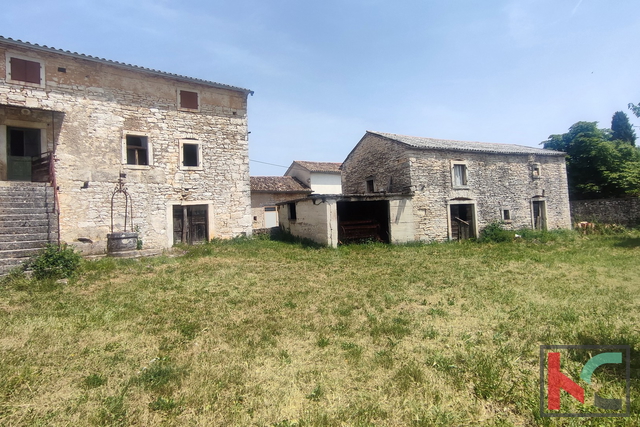 Istria, Svetvinčenat, two Istrian autochthonous stone houses with a garden, #sale