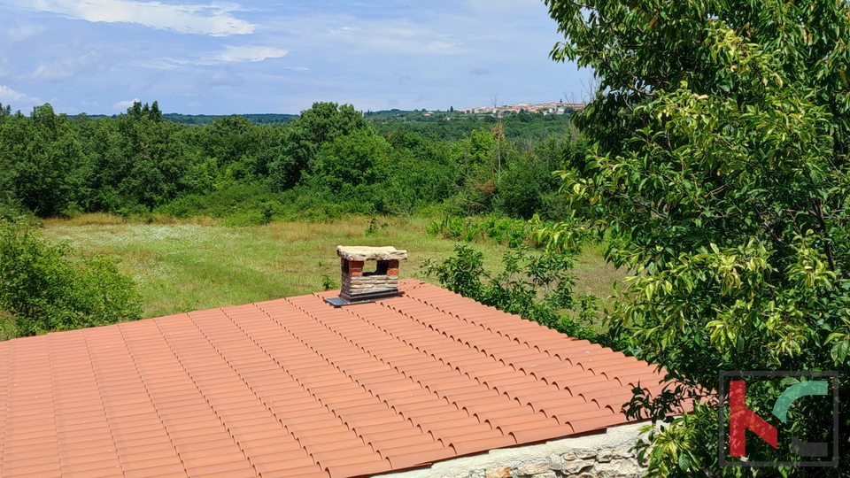 Istria, Sveti Lovreč, renovated stone house with swimming pool, house for renovation on a plot of 9235m2, #sale