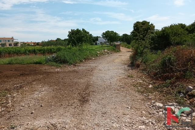 Svetvinčenat, Cukrići, gradbeno kmetijsko zemljišče z idejno zasnovo #prodaja