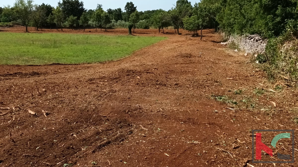 Svetvinčenat, Cukrići, terreno edificabile e agricolo con progettazione concettuale #sale