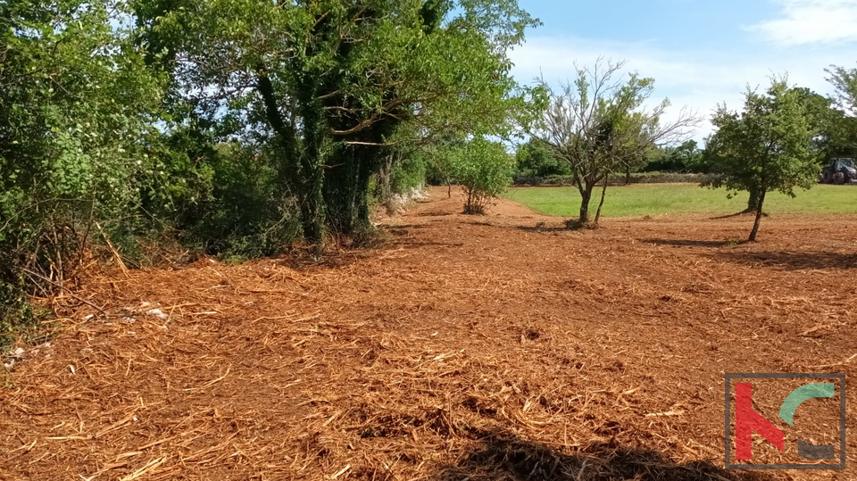 Svetvinčenat, Cukrići, terreno edificabile e agricolo con progettazione concettuale #sale