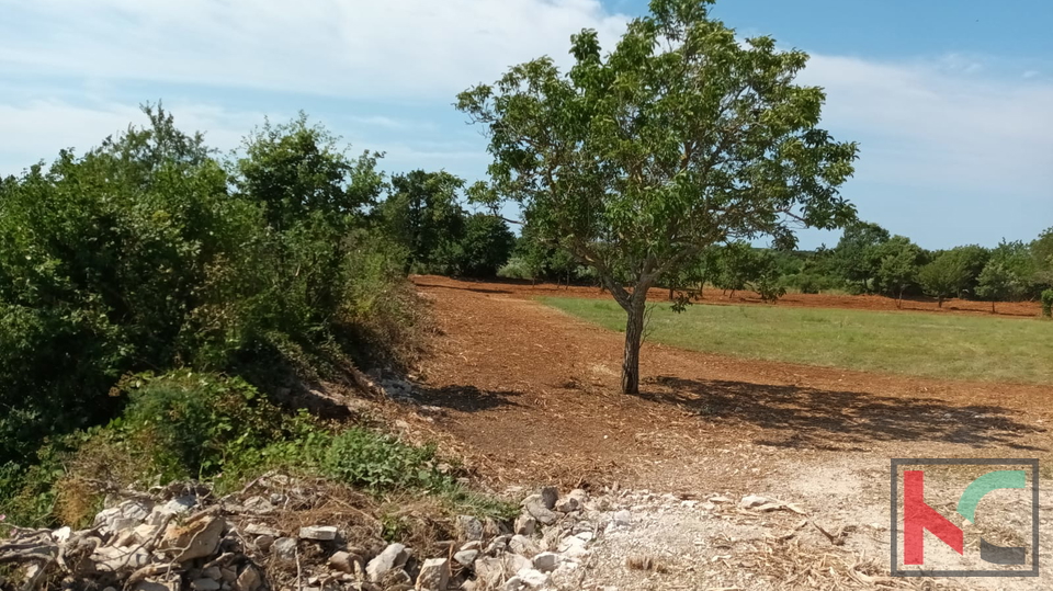 Svetvinčenat, Cukrići, terreno edificabile e agricolo con progettazione concettuale #sale