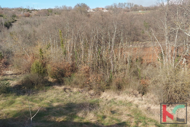 Istria, Svetvincenat, Bibici building land 1459 m2