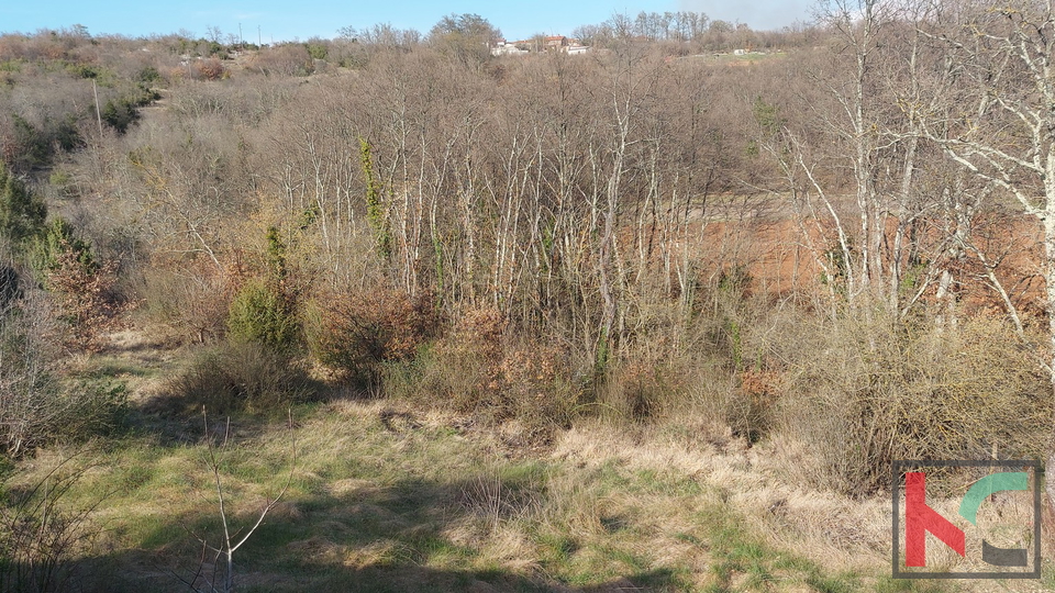 Istria, Svetvincenat, Bibici building land 1459 m2