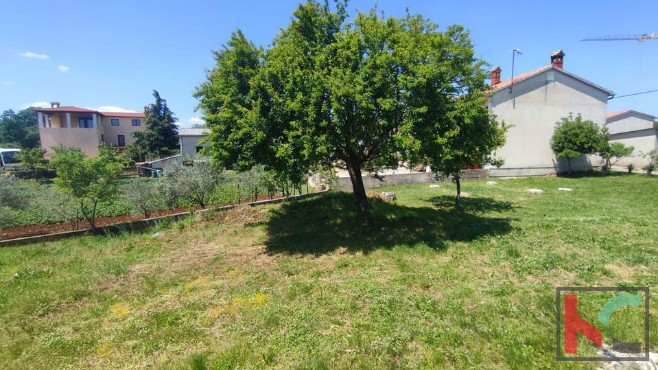 Svetvinčenat, terreno edificabile 716 m2 #vendita