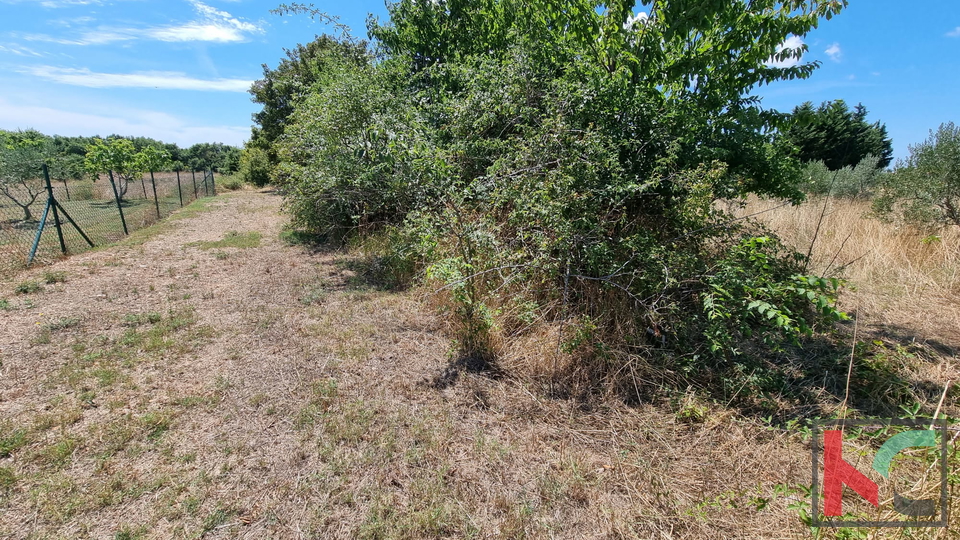 Istria, Loborika, terreno edificabile 1333m2 in una posizione tranquilla, #vendita