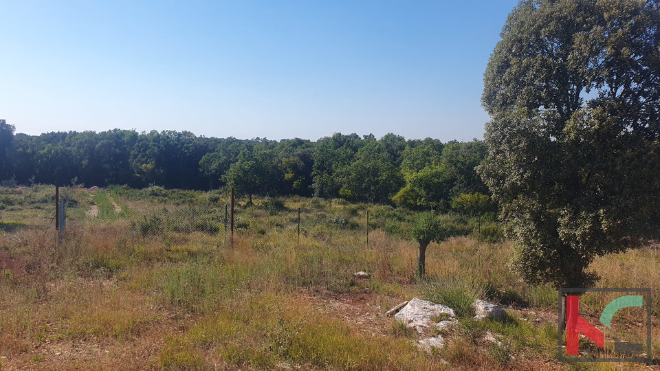 Pula, Šijana, kmetijsko zemljišče 2200 m2 z načrtovano gradnjo in bazenom #prodaja