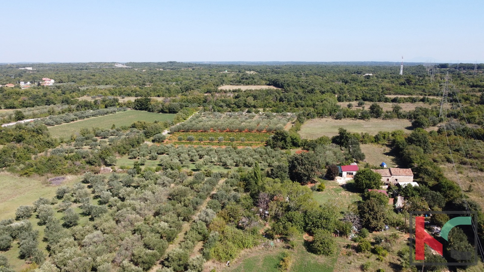 Istra, Galižana, građevinsko zemljište 1000 m2 s pogledom na more, #prodaja