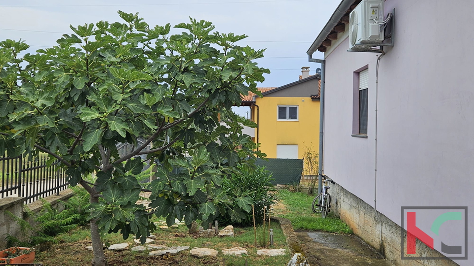 Istra, Volme, samostojeća kuća sa dva stana i velikom okućnicom od 316m2 #prodaja