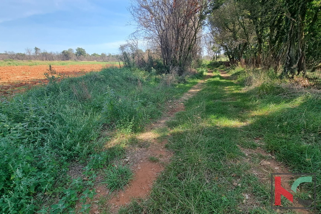 Istra, Valtura, neurbanizirano zemljište 7007m2, #prodaja