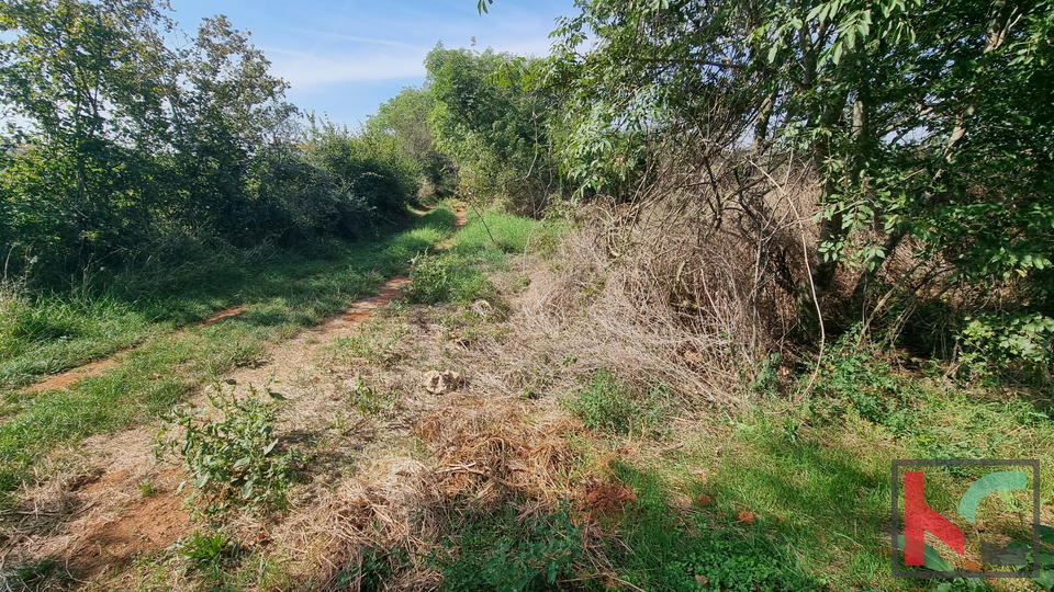 Istria, Valtura, non-urbanized land 7007m2, #sale