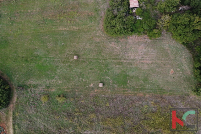 Istra, Vinkuran, neurbanizirano zemljište 2441m2, #prodaja