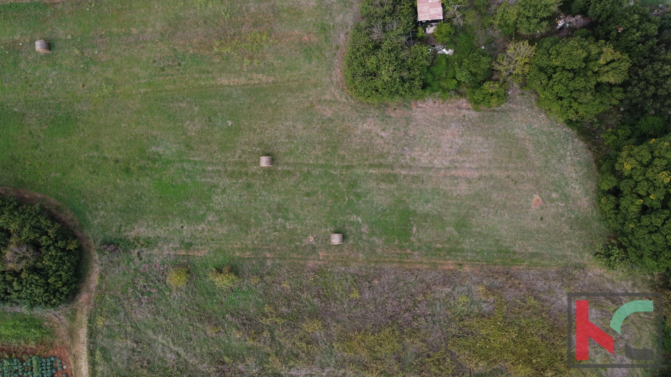 Istra, Vinkuran, neurbanizirano zemljišče 2441m2, #prodaja