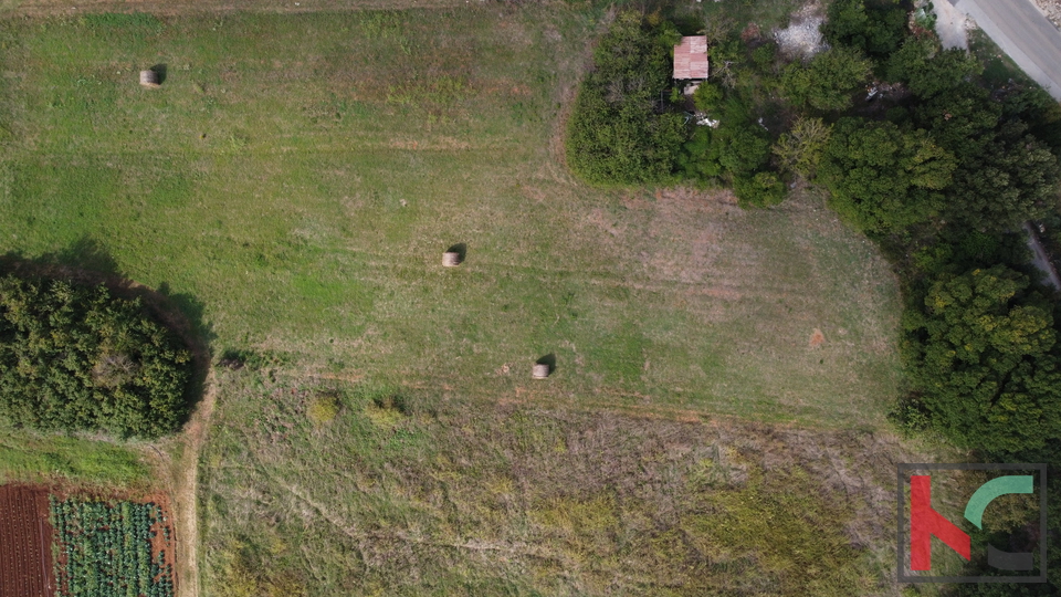 Istra, Vinkuran, neurbanizirano zemljišče 2441m2, #prodaja