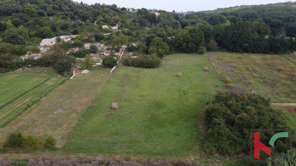 Istra, Vinkuran, neurbanizirano zemljišče 2441m2, #prodaja