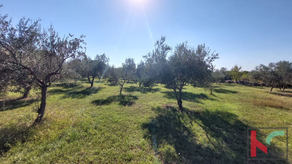 Istra, Vodnjan, kuća u izgradnji, #prodaja