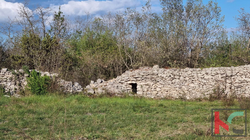 Istrien, Vodnjan, Ackerland in regelmäßiger Form, 2991m2 #zu verkaufen