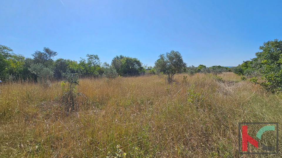 Istria&comma; Fasana&comma; terreno agricolo 2400m2