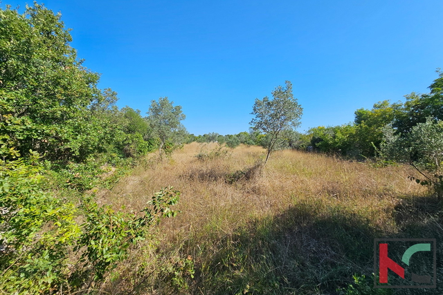 Истрия, Фажана, сельскохозяйственная земля 2400м2