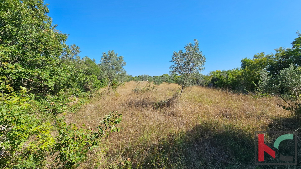 Istria&comma; Fasana&comma; terreno agricolo 2400m2