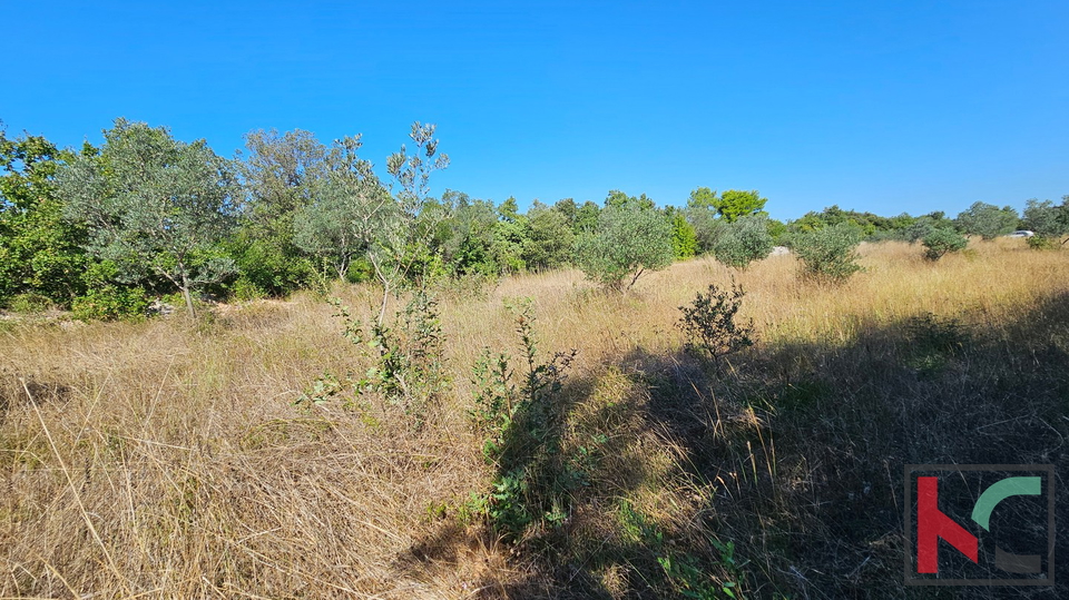 Istria&comma; Fasana&comma; terreno agricolo 2400m2