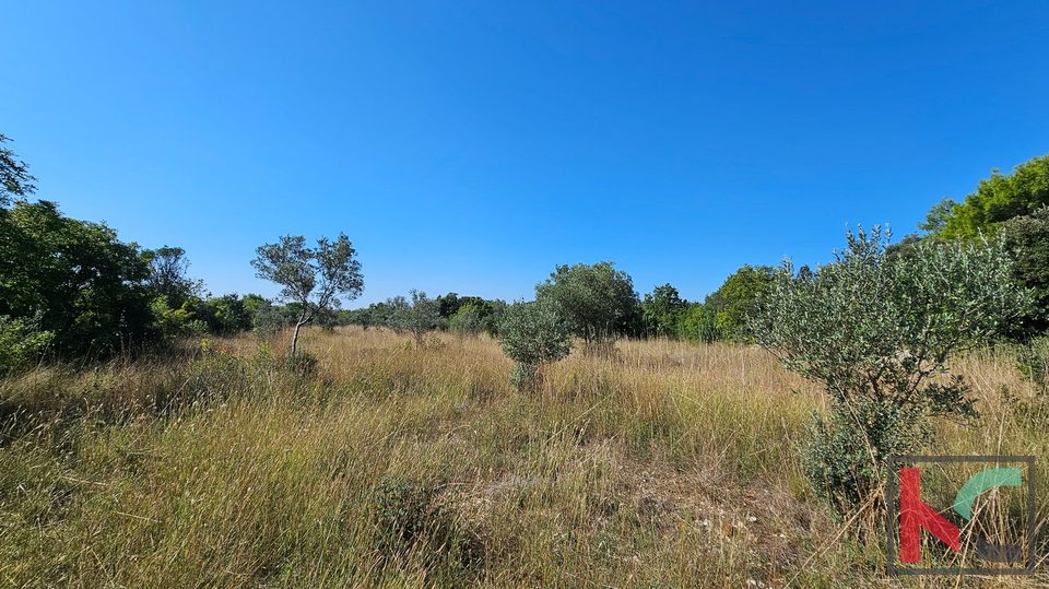 Istria&comma; Fasana&comma; terreno agricolo 2400m2