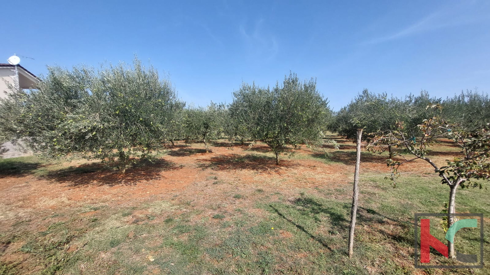 Istra, Loborika, građevinsko i poljoprivredno zemljište 2321 m2, #prodaja