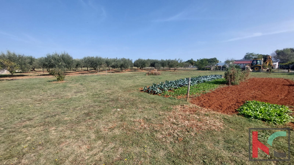 Istria, Loborika, building and agricultural land 2321 m2, #sale