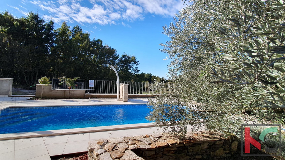 Istria, Tinjan, detached house with swimming pool #sale