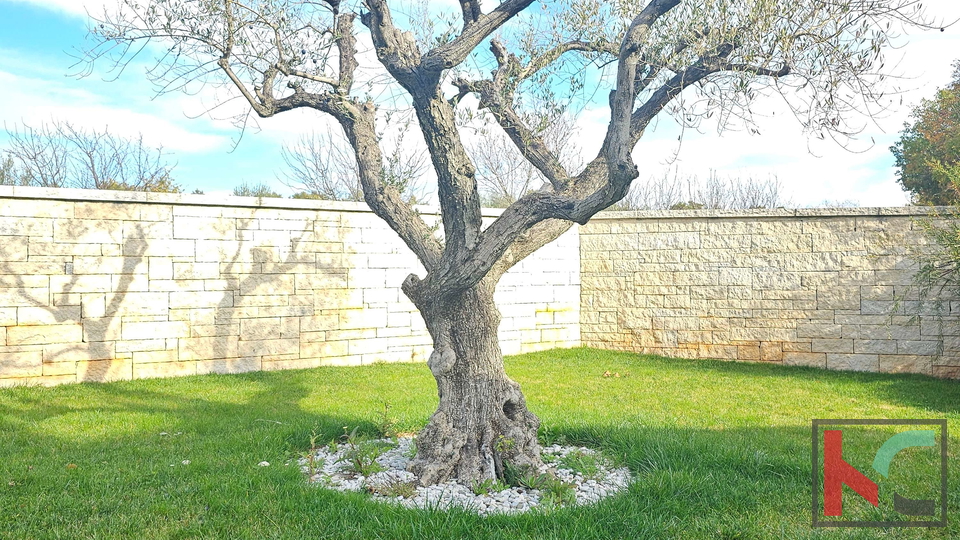 Istra, Višnjan, moderna kuća sa bazenom i uređenom okućnicom, 4SS, #prodaja