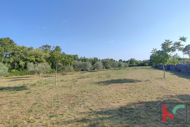 Istria, Filipana, Terreno edificabile 1191m2 - posizione tranquilla, #vendita