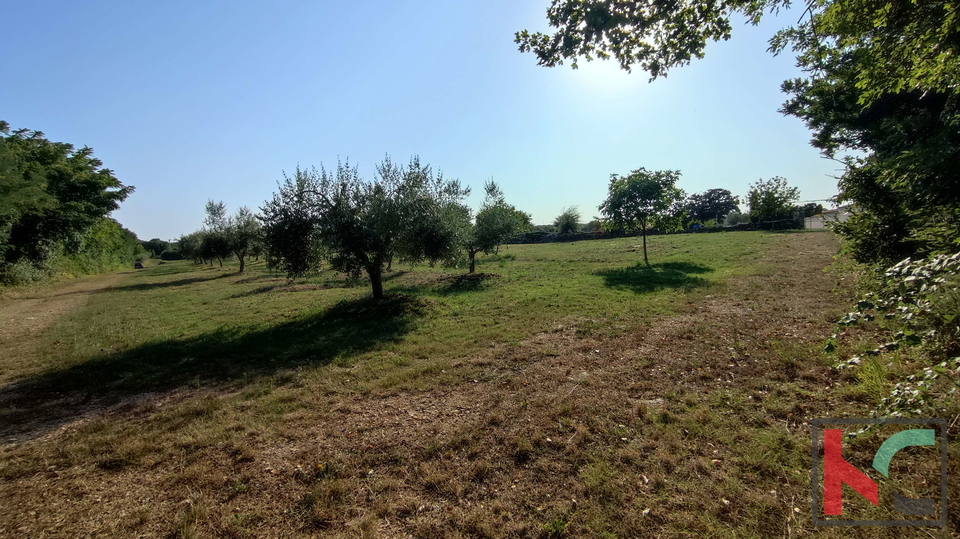 Istria, Filipana, Terreno edificabile 1191m2 - posizione tranquilla, #vendita