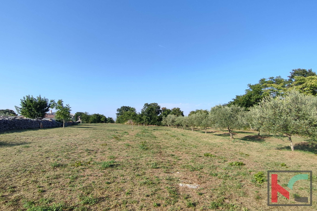 Land, 905 m2, For Sale, Filipana