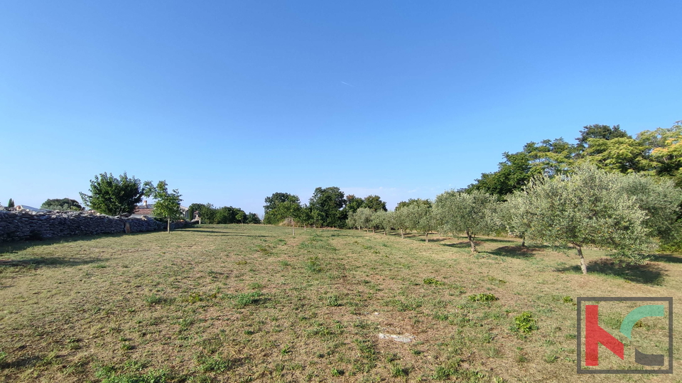 Land, 905 m2, For Sale, Filipana