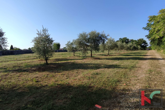 Land, 905 m2, For Sale, Filipana