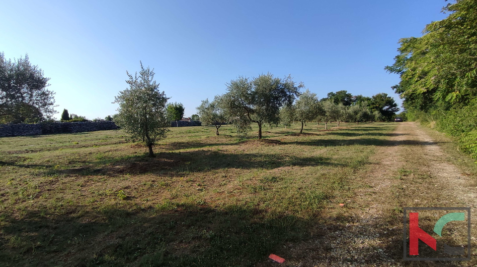 Land, 905 m2, For Sale, Filipana