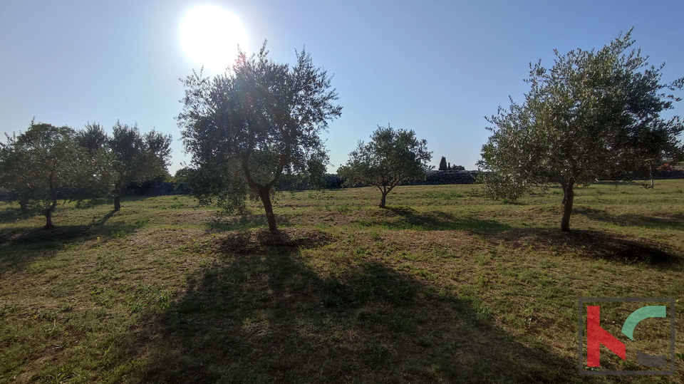 Land, 905 m2, For Sale, Filipana