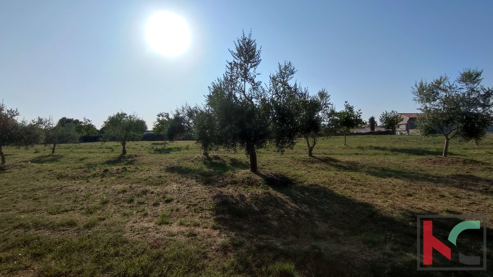 Land, 905 m2, For Sale, Filipana